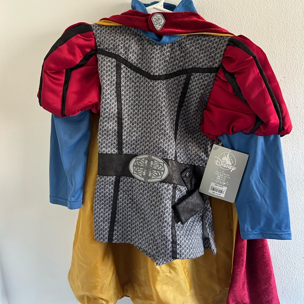 Disney Prince Phillip costume